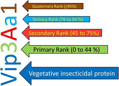 Vegetative Insecticidal Protein (Vip): A Potential Contender From Bacillus thuringiensis for Efficient Management of Various Detrimental Agricultural Pests